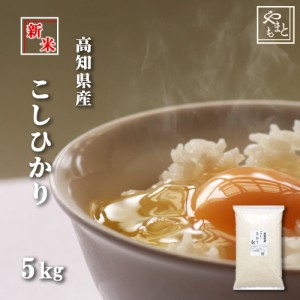 お米 新米 送料無料 令和6年 高知県産こしひかり 5kg（5kg×1袋） コシヒカリ 安い 北海道沖縄離島は追加送料