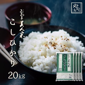 お米 新米 令和5年 岡山県産こしひかり20kg 5kg×4袋 お米 送料無料 コシヒカリ 20キロ 北海道沖縄離島は追加送料