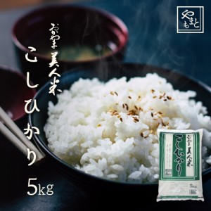 お米 新米 令和6年 岡山県産こしひかり5kg 5kg×1袋 お米 送料無料 コシヒカリ 5キロ 北海道沖縄離島は追加送料