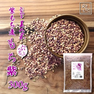 紫もち麦 令和5年度 岡山県産 ダイシモチ300g 送料無料 安い お試し おすすめ ポイント消化 ぽっきり ダイエット健康美容
