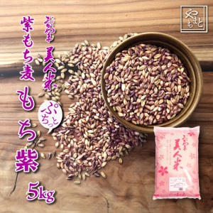 紫もち麦 令和5年 岡山県産 ダイシモチ5kg 送料無料 安い おすすめ ダイエット健康美容