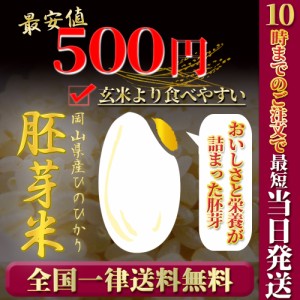 お米 令和4年 新米 岡山県産ヒノヒカリ胚芽米600g 送料無料 ポイント消化 お試し お米 安い ひのひかり一等米 メール便 関西のコシヒカリ