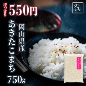 お米 新米 令和5年 岡山県産 あきたこまち 750g 送料無料 ポイント消化 ぽっきり 安い お試し お米 安い 