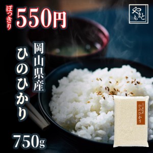 お米 新米 令和5年 岡山県産ひのひかり750ｇ 送料無料 ポイント消化 ぽっきり 安い お試し お米 安い 