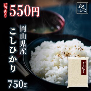 お米 新米 令和5年 岡山県産こしひかり750g 送料無料 ポイント消化 ぽっきり 安い  お試し お米 安い 