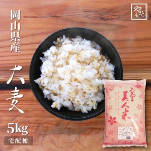 大麦 令和5年 岡山県産 大麦(丸麦)5kg もち麦の代わりに 送料無料 安い おすすめ 国産