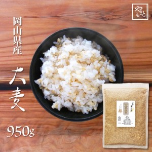 大麦 令和5年 岡山県産 大麦(丸麦)950g もち麦の代わりに 送料無料 安い お試し おすすめ ポイント消化 ぽっきり 国産 １キロ以下
