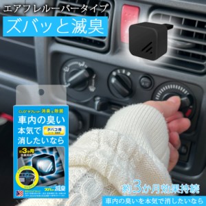 エアコンルーバー ズバッと 滅臭 タバコ用 5個セット |  車内 シートの臭い たばこ 煙草 タバコ 加齢臭 シート 消臭 エアコン 