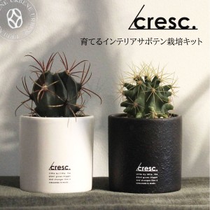 ＼ 育てるインテリア ／ クレッシェンド サボテン栽培キット cresc. ( CRS-1 ) 観葉植物 種から育てる 植物 プランター お部屋で育てるイ