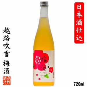 梅酒 日本酒仕込み 越路吹雪 720ml 新潟 高野酒造 / プレゼント ギフト 酒 お酒 のし可 日本酒ベース 日本酒梅酒 甘くない さっぱり おい