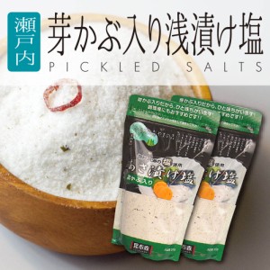 送料込み 賞味期限1年 メチャ激ウマ 瀬戸内海産焼塩 芽かぶ入り あさ漬け塩 280g×2 愛媛県産 浅漬け塩 ネコポス 漬け物 漬物 ぽっきり