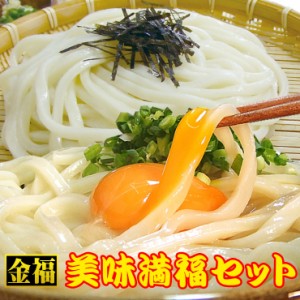 送料無料 うどん まるごと金福純生・完熟美味満福セット【さぬきうどん】お中元 お歳暮　母の日 父の日 冠婚葬祭等におすすめ！