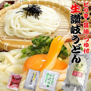 送料無料 【ピリ辛・醤油・つゆ付き 生讃岐うどん 750g】 お取り寄せ  訳あり ではない ポイント消費 《クーポンで割引対象》《クーポン