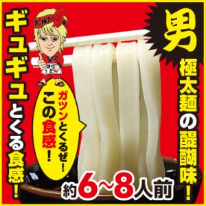 送料無料 讃岐うどん 極太麺 6食 半生麺 完熟 熟成 便利な個包装 250g×3袋 750g お試し 最安値挑戦 お取り寄せ 食品