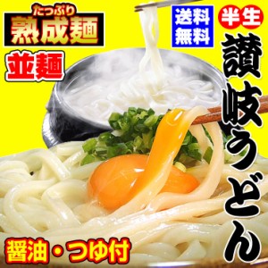 送料無料 讃岐うどん 普麺 つゆ付きセット 250gｘ3袋 20時間熟成 半生麺 食品 お試し 最安値挑戦 お取り寄せ