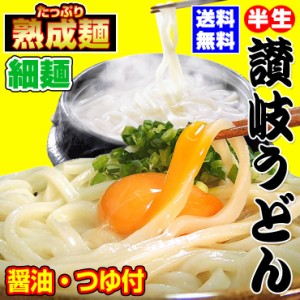 送料無料 讃岐うどん 細麺 つゆ付きセット  750g 20時間熟成  半生麺 最安値挑戦 お取り寄せ ご当地 食品 お試し