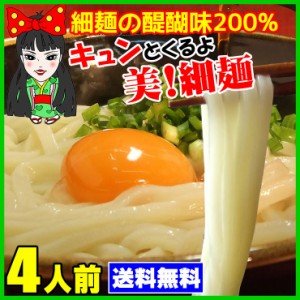 送料無料 讃岐うどん 4食 半生麺 食品 お試し キュンとくるよ！女・美！細麺【美！細麺4人前セット（半生 讃岐うどん）】