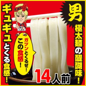 【送料無料(一部地域を除く)】男・極太讃岐うどん14人前つゆなし又は10人前つゆ付きセット