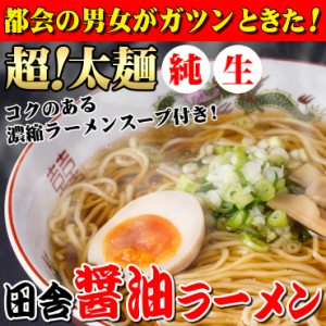 送料無料 醤油ラーメン 4人前スープ付 讃岐 生麺 太麺 生中華麺 中華そば 食品 ご当地 お試し