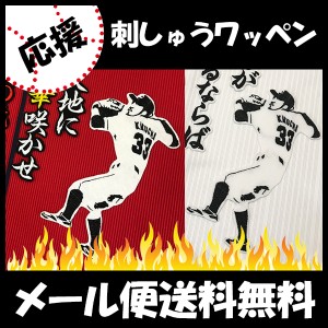 2018広島カープ アートフォト菊池田中直筆サインシリアルナンバー入り