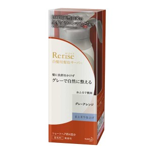 リライズ 白髪用髪色サーバー グレーアレンジ まとまり仕上げ 本体 サーバーヘッド付き 155g Ko 花王の通販はau Wowma ワウマ 富士薬品オンラインショッピング 商品ロットナンバー