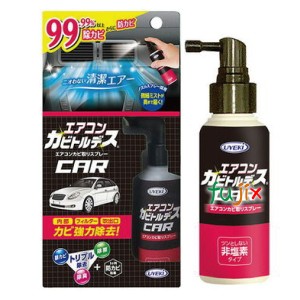 カーエアコン カビ取りスプレー エアコンカビトルデス車用 80ｍL×48個／ケース 防カビ 消臭 除菌 フィルター 洗浄 掃除 UYEKI（ウエキ）