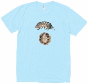 ダンゴムシ　動物・生き物　Tシャツ　水色