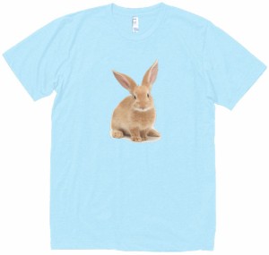 うさぎ　動物・生き物　Tシャツ　水色