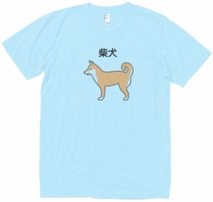 柴犬　動物・生き物　Tシャツ　水色