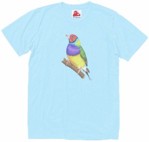 鳥　トリ　動物・生き物　Tシャツ　水色