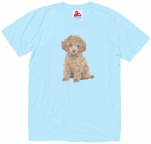 犬　イヌ　プードル　動物・生き物　Tシャツ　水色