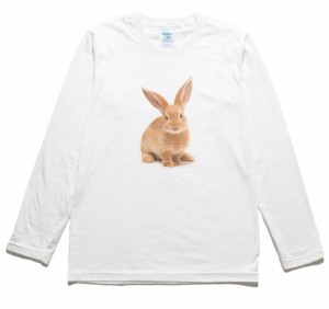 うさぎ　動物・生き物　長袖Tシャツ　ロングスリーブ