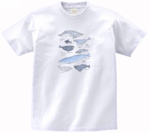 クジラ　ホエール　動物・生き物　Tシャツ　白　　　　