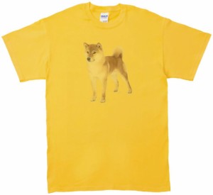 柴犬　動物・生き物　Tシャツ　イエロー