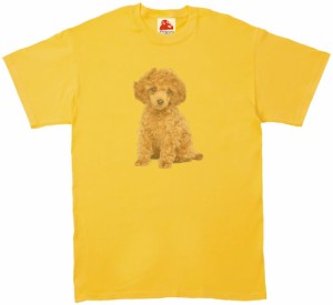 犬　イヌ　プードル　動物・生き物　Tシャツ　イエロー