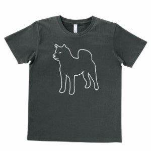 動物　生き物　柴犬　Tシャツ　スモーク