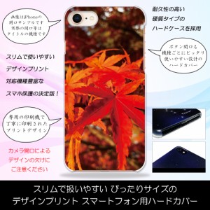 AQUOS Xx-Y 404SH 紅葉の季節 紅葉 もみじ 秋 ハードケースプリント スマホカバー 保護 スリム