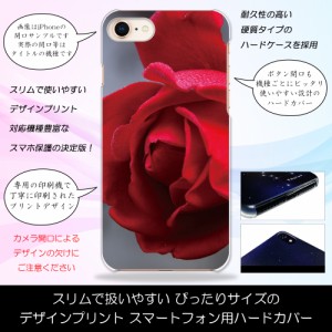 Xperia Z3 SOL26 赤い薔薇 バラ 華 レッドローズ ハードケースプリント スマホカバー 保護 スリム