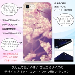 AQUOS PHONE ZETA SH-01F 桜の季節 さくら 花柄 スプリング 春 ハードケースプリント スマホカバー 保護 スリム