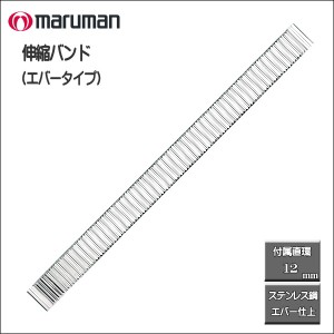 伸縮バンド ステンレス鋼 エバータイプ シルバー 時計際幅：10・12ｍｍに対応可 メール便利用で送料無料（代引き不可）