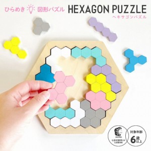 木製！ひらめき　図形パズル　HEXAGON PUZZLE ヘキサゴンパズル 木製パズル　知育　知育玩具