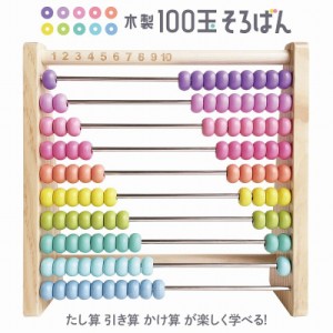 100だまそろばん パステル 木製百玉そろばん 木製百玉そろばん 知育玩具