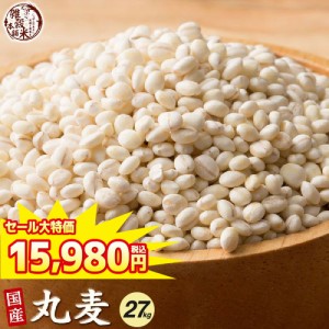 ＼ セール ／ 雑穀 雑穀米 国産 丸麦 27kg(450g×60袋) 送料無料 ダイエット食品 置き換えダイエット