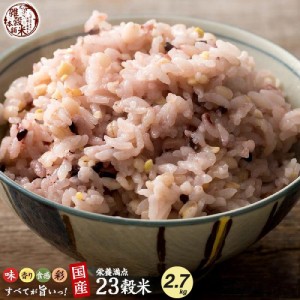 雑穀 雑穀米 国産 栄養満点23穀米 2.7kg(450g×6袋) 送料無料 国内産 もち麦 黒米 ダイエット食品 置き換えダイエット