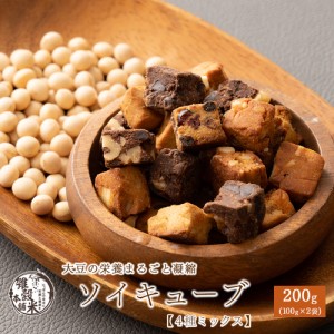 ソイキューブ(4種ミックス) 200g(100g×2袋) | (チョコくるみ/アーモンド・オレンジピール/ホワイトチョコ・マカダミア/3種のベリー) SOY