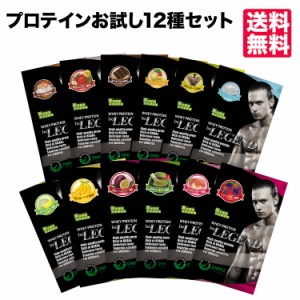 ホエイプロテイン12種お試しパックセット プロテイン 筋トレ　ビーレジェンド　送料無料