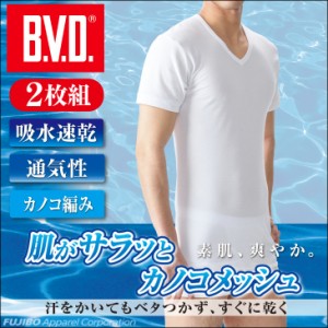 シャツ 2枚組 B.V.D. カノコメッシュ V首半袖Ｔシャツ 吸水速乾 クールビズ/Vネック/メンズインナー/ビジネス  EY544