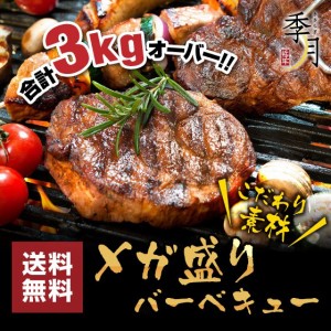 バーベキュー メガ盛りセット 牛カルビ 厚切りハラミ ホルモン 豚肉 鶏肉 合計3kg 送料無料 約10人前