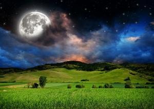 星空 壁紙の通販 Au Pay マーケット