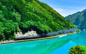 壁紙 エメラルド グリーンの通販 Au Pay マーケット